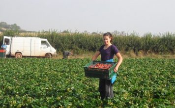 Българите в чужбина често са жертва на трудова експлоатация