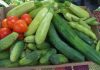 Българските зеленчуци аут от европейските вериги