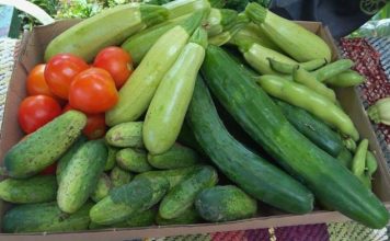 Българските зеленчуци аут от европейските вериги