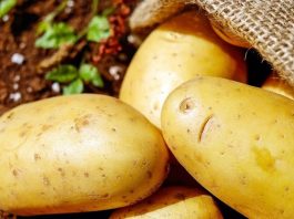 Защо Димитър Димитров реши да раздаде десетки тонове картофи?