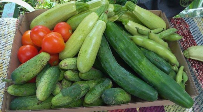 Българските зеленчуци аут от европейските вериги