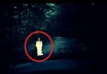 Дух на млада девойка изскача на пътя край ямболското село Лесово...